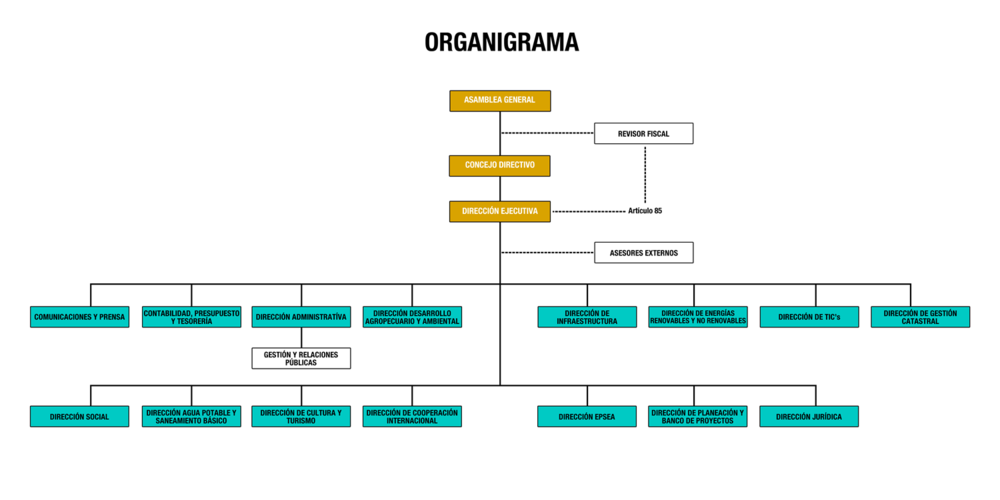 Estructura Organizacional